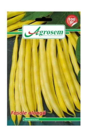 Seminte - Seminte fasole oloaga ROQUENCOURT Agrosem 100 gr