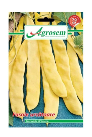 Seminte - Seminte fasole urcatoare MERAVIGLIA DI VENEZIA Agrosem 70 gr
