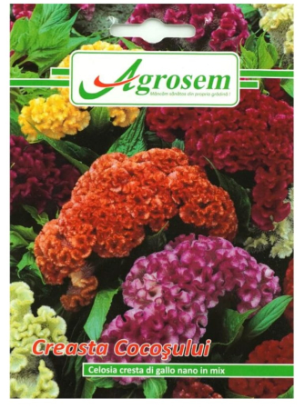 CASA SI GRADINA - Seminte Flori CREASTA COCOŞULUI 0,8 gr