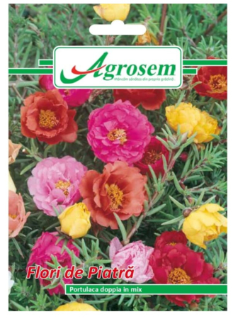 CASA SI GRADINA - Seminte FLORI DE PIATRĂ 0,3 gr