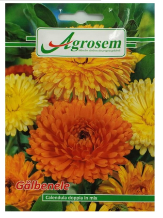 CASA SI GRADINA - Seminte Flori GĂLBENELE MIX 2gr