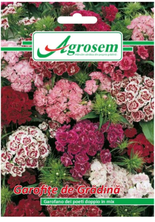 CASA SI GRADINA - Seminte Flori GAROFIŢE DE GRĂDINĂ MIX 0,3 gr