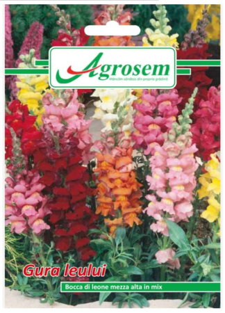 CASA SI GRADINA - Seminte Flori GURA LEULUI