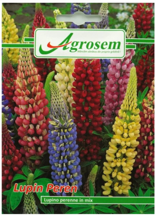 Seminte - Seminte Flori LUPIN PEREN 0,5 gr