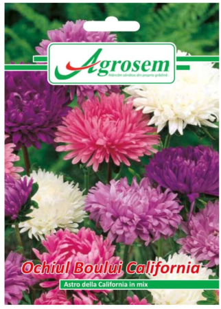 CASA SI GRADINA - Seminte Flori OCHIUL BOULUI CALIFORNIA