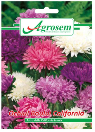 Seminte - Seminte Flori OCHIUL BOULUI CALIFORNIA