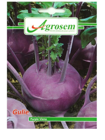 CASA SI GRADINA - Seminte Gulie PURPLE VIENA 5GR