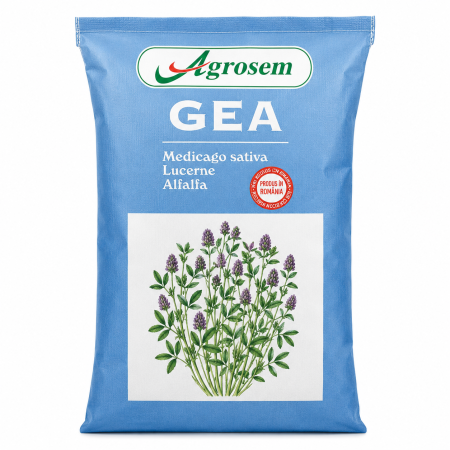 CASA SI GRADINA - Seminte Lucerna GEA, 10 KG, Certificata