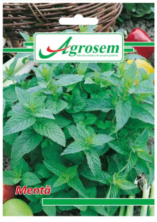 CASA SI GRADINA - Seminte Menta 0.1 gr.