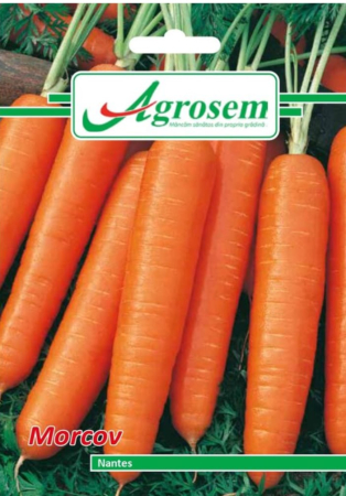 CASA SI GRADINA - Seminte Morcov NANTES 5 GR