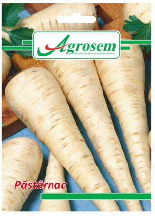 Seminte - Seminte Pastarnac 4 GR