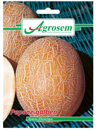 Seminte - Seminte Pepene Galben ANANAS D AMERIQUE 2 gr.