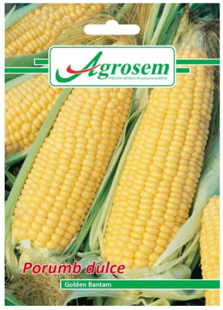 CASA SI GRADINA - Seminte Porumb Dulce GOLDEN BANTAM 10 gr.