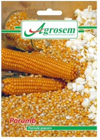 CASA SI GRADINA - Seminte PORUMB FLORICELE POPCORN Agrosem 8gr