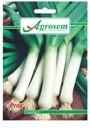 Seminte - Seminte Praz CARENTAN 2 gr.