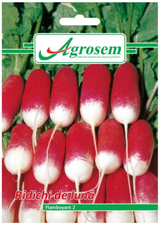 CASA SI GRADINA - Seminte Ridichi de Luna FLAMBOYANT 6 gr.