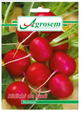 Seminte - Seminte Ridichi de Luna RIESENBUTTER 6 gr.
