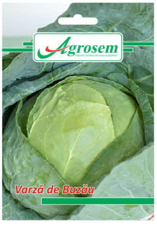 Seminte - Seminte romanesti Varza de Buzau 1 gr