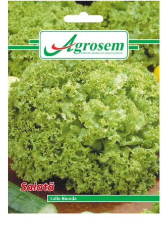 Seminte - Seminte Salata LOLLO BIONDA 2 gr.