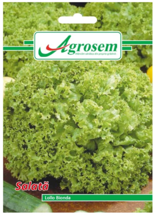 Seminte - Seminte Salata LOLLO BIONDA 2 gr.
