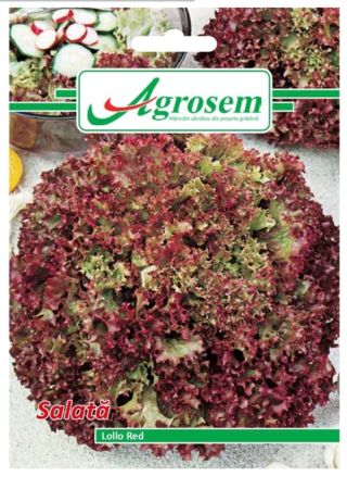 Seminte - Seminte Salata LOLLO RED 2 gr.