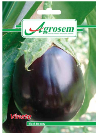 CASA SI GRADINA - Seminte Vinete BLACK BEAUTY 2 gr.