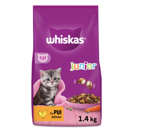 PISICI - Whiskas junior pui