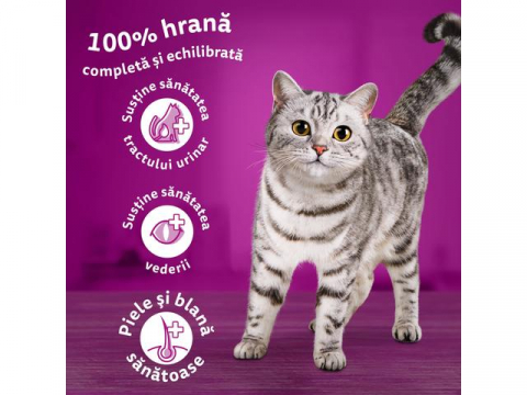 Whiskas pisici sterile hrana uscata cu pui [1]