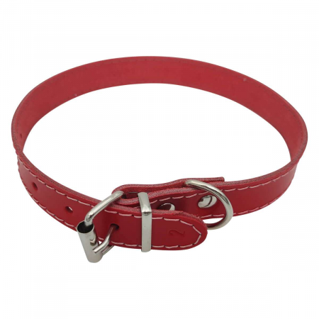 CAINI - zgarda_piele_caine