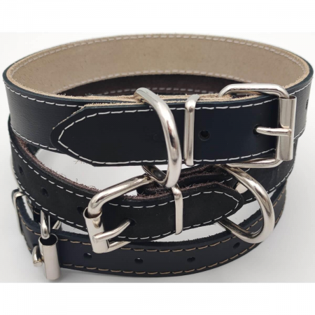 zgarda_piele_caine [2]