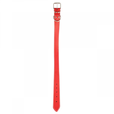 zgarda_piele_caine [1]