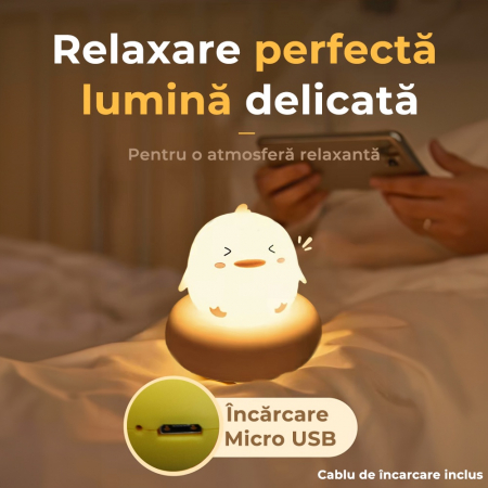 Lampa de noapte model ratusca [2]