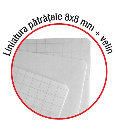 Caiet A5 geometrie cu patratele mari si foaie velina [2]