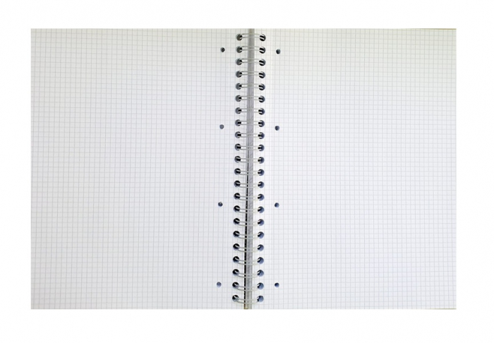Caiet arc A4 studentesc 100 file Monocromo Pigna Matematica [2]