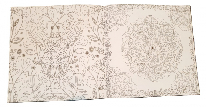 Caiet de colorat antistress Mistery Garden [2]