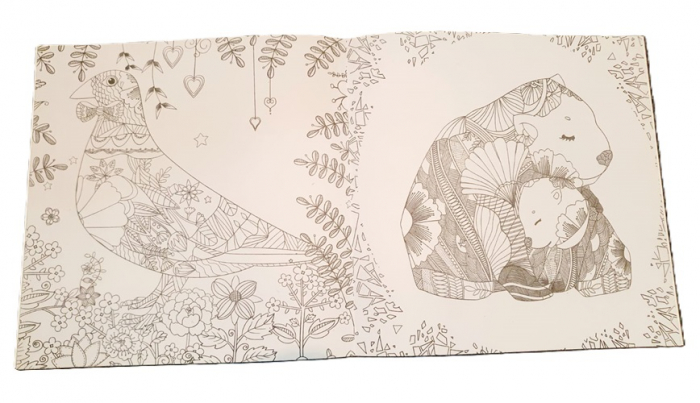 Caiet de colorat antistress The Enchanted Forest [2]