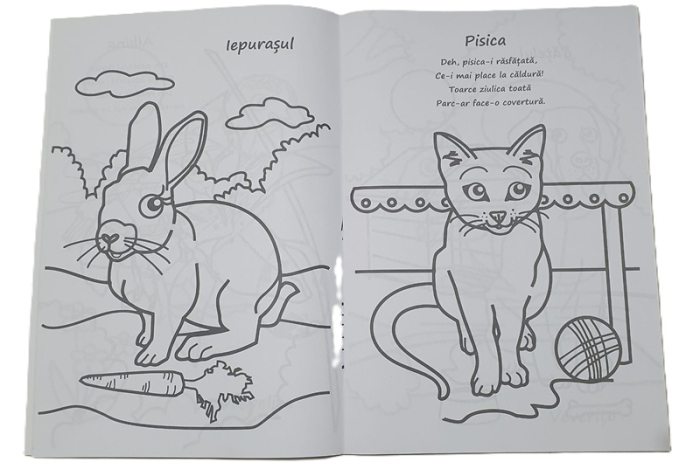 Carte de colorat Haideti sa coloram - Animale 64 pagini [2]