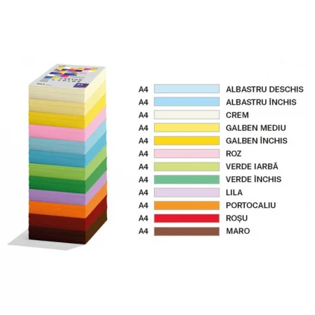 Carton A4 250 coli/top 160 g/mp Ecada [2]