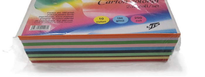 Carton A4 Mixt 250 coli/top, 10 culori, 160 g/mp TP [2]