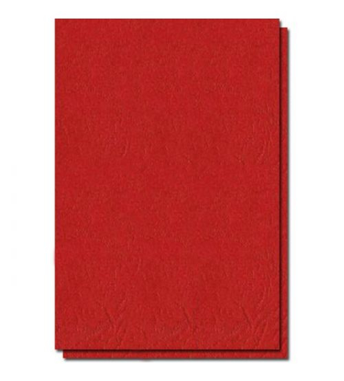 Coperta carton A4 imitatie piele Colorat 230g/mp [3]