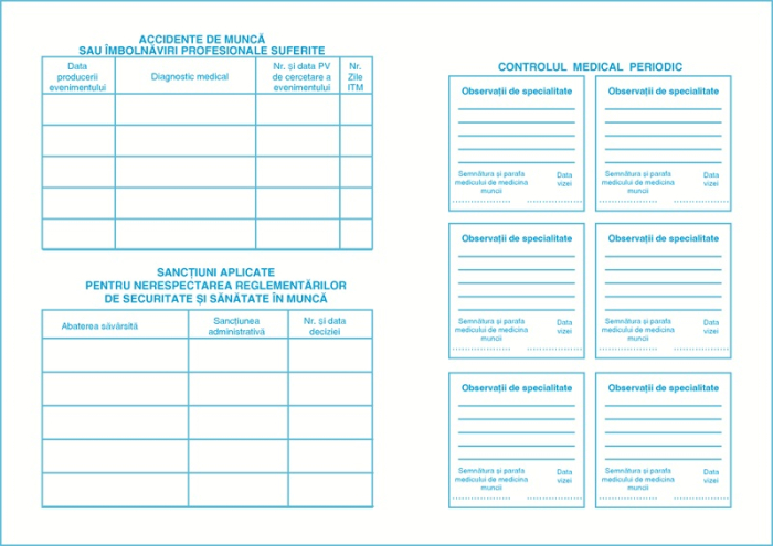 Fisa SSM protectia muncii Albastra [6]