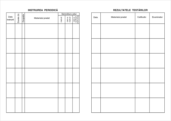 Fisa SSM Protectia Muncii 2026 N [5]