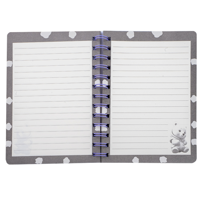 Notes A6, cu arc, 3D, Ursulet 1902-4 [2]