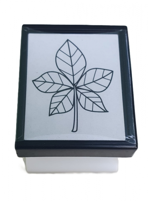 Stampila copii Distractia Padurii Tusata [1]