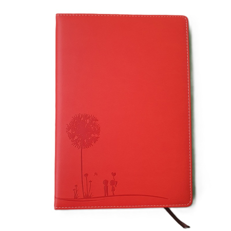 Agende - Agenda nedatata 25x17,5 cm 18K-808