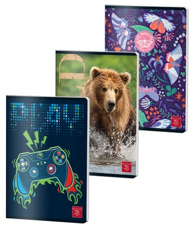 Scoala si gradinita - Caiet A5 80 file Clasic Pigna