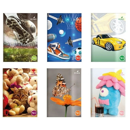 Scoala si gradinita - Caiet Tip II Ecada