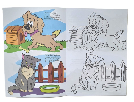 Carte de colorat Sa invatam... Animale si pasari domestice 16 pagini [1]