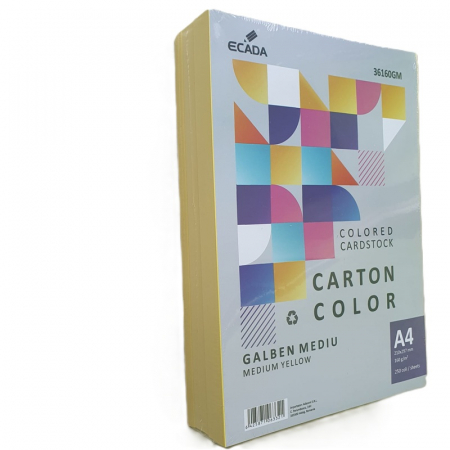Carton A4 250 coli/top 160 g/mp Ecada [2]