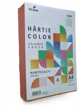 Carton A4 250 coli/top 160 g/mp Ecada [2]